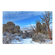 Haute neige de désert du Nevada Tirage Photo