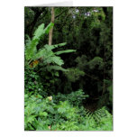 Hawaï sauvage carte de vœux