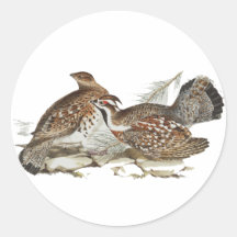 Hazel Grouse Stickers