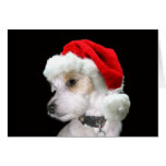Hefboom Russell Santa Wenskaart