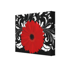 Heldere Rode Gerbera Daisy op Zwarte Canvas Print