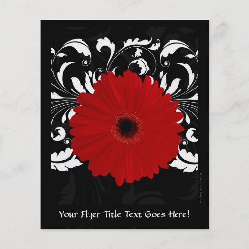 Heldere Rode Gerbera Daisy op Zwarte Persoonlijke Folder