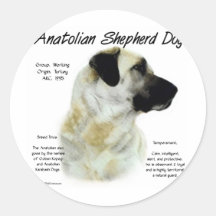 Het Anatolische Ontwerp van de Geschiedenis van de Sticker