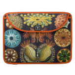 Het Aquatische Mariene Leven van Haeckel Sleeve Voor MacBook Pro