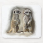 Het babytweelingen van Meerkat Muis Mat