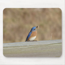 Het blauwe Ontbijt van de Vogel Muismatten