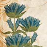 Bloemen Onderzetters
