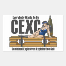 Het Bord van de Druk van het Meisje CEXC Rechthoekige Sticker