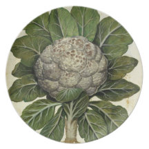 Het Bord van de Ontwerper van de Druk van de bloem