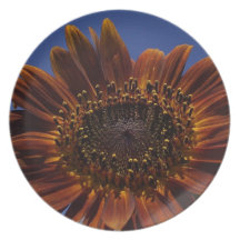 Het Bord van de zonnebloem