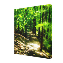 Het Bos van de mysticus Gallerij Wrapped Canvas