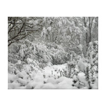 Het Bos van het Sprookjesland van de winter in het Canvas Print