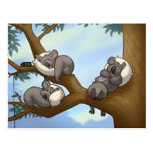 Het Briefkaart van de Koala van de slaap Wens Kaart