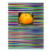 Het BRIEFKAART van de TULP van de Strepen van het  Wenskaarten