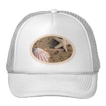 Het Bruidsmeisje van het strand - Shells & het Zan Pet