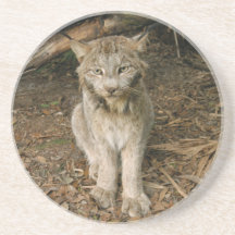 Het Canadese Onderzetter van de Lynx