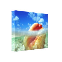 Het Canvas van de Vloed van Shell van de kroonslak Gallerij Wrapped Canvas