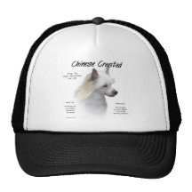 Het Chinese Kuif (powderpuff) Ontwerp van de Gesch Petten Met Netje