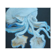 Het Document Nautilius van Shell van het zee Stretched Canvas Print