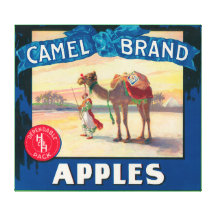 Het Etiket van Apple van de kameel - de Staat van  Canvas Prints