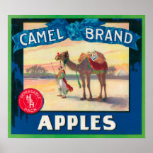 Het Etiket van Apple van de kameel - de Staat van  Posters