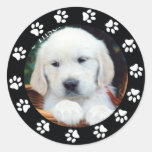Het Etiket van de Sticker van het Lijst van de Gre