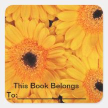 Het Etiket van het boek Stickers
