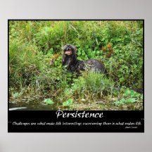 Het exemplaar van CLAUDE DESROCHERSOTTER Poster