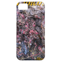 Het Feest van de worm Case-Mate iPhone 5 Hoesje