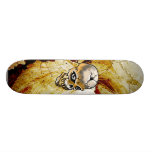 Schedel Skateboards