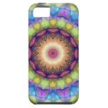 Het gebrandschilderd glas van de regenboog iPhone 5 cases