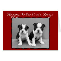 Het gelukkige Wenskaart van Boston Terrier van de 