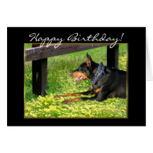 Het gelukkige wenskaart van Doberman Pinscher van 