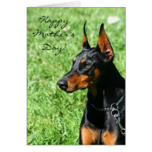 Het gelukkige wenskaart van Doberman van het Moede