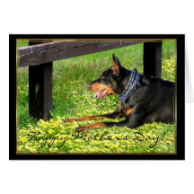 Het gelukkige wenskaart van Doberman van het Moede