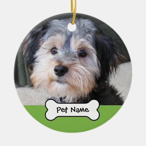 Het gepersonaliseerde enig-OPGERUIMDE Lijst van de Kerst Ornament