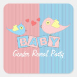Het Geslacht van de Blokken van het baby openbaart