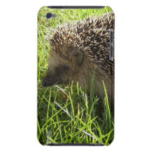 Het Geval van de egel iTouch iPod Touch Hoesje