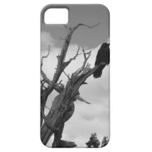 Het geval van Iphone van de raaf Case-Mate iPhone 5 Hoesje