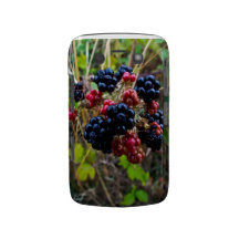 Het Gewaagde geval van Blackberry Case-Mate Blackberry Hoesjes