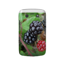 Het Gewaagde geval van Blackberry van braambessen Blackberry Bold Hoesje