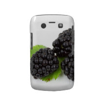 Het Gewaagde Geval van Blackberry van braambessen Blackberry Bold Covers