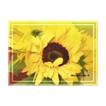 Het Goud van de zonnebloem Gallerij Wrap Canvas