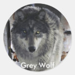 Het GRIJZE Collectie van de WOLF van het PAK Stickers