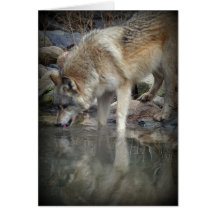 Het grijze Wenskaart van de Wolf