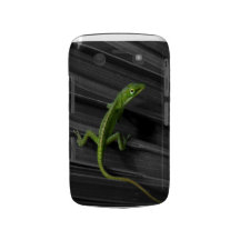 Het groene Gewaagde Geval van Blackberry van de Ha Blackberry Bold Case