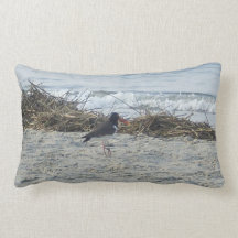 Het Hoofdkussen van de Vogel van de strandloper bi