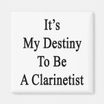 Het is Mijn Lot om een Clarinetist te zijn Magneten