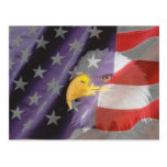 Het Kale Eagle Briefkaart van de trotse en Patriot Wenskaart
