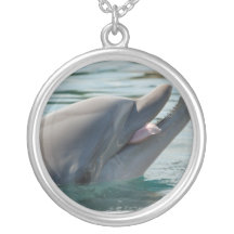 HET KETTING VAN DE DOLFIJN